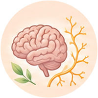 Brain and Nerve Care