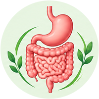 Digestive Care