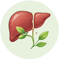 Liver Care